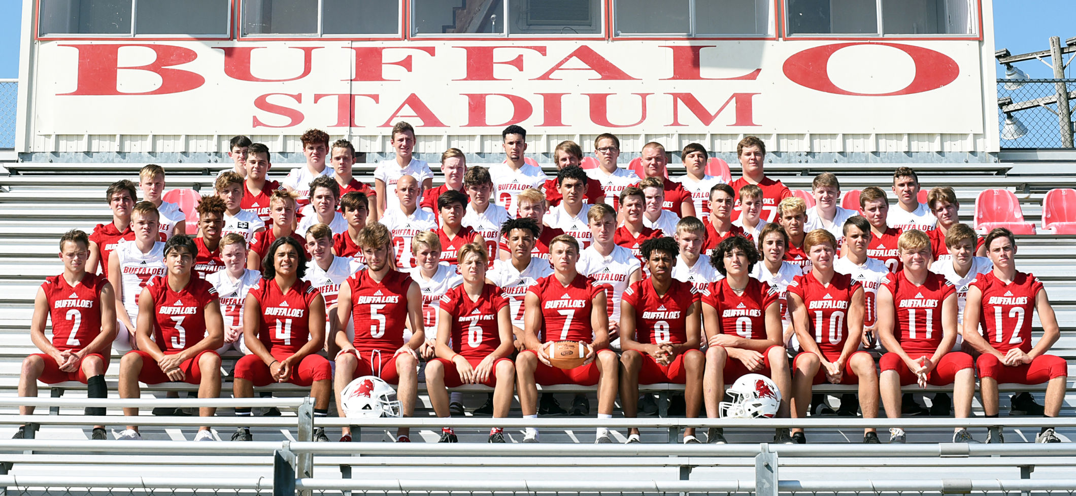 Lone Oak Buffaloes